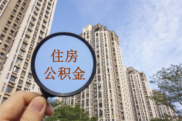 社保断交了6个月可以补吗-大理公积金代办平台